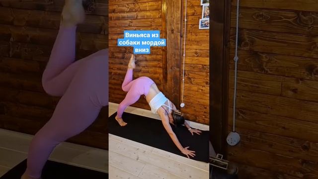 Виньяса собака мордой вниз. #йогакаждыйдень смотреть онлайн