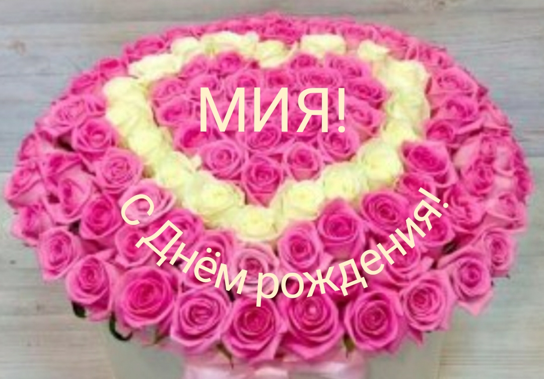 С Днём рождения, Мия!
