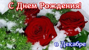 С Днем рождения в Декабре! Шикарное поздравление Женщине Красивая музыкальная видео открытка
