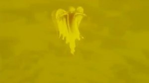 Сотворение мира и потоп.Библия в анимации.avi