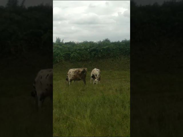 24 июня 2023 г. смотреть онлайн