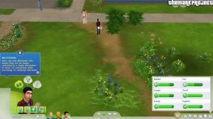 THE SIMS 4 - Intel HD Graphics