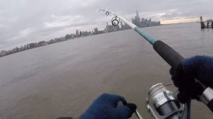 Striped Bass Fishing with a New York City View