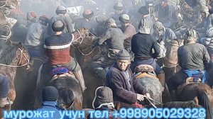 НУРОБОД УРТАБУЗДА КУПКАРИ 1-КИСМ#купкари #kupkari#кураш