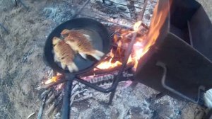 Дикая кухня - ЖАРЕНЫЙ КАРАСЬ НА КОСТРЕ.