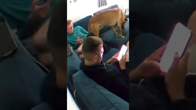 Хватит с меня ваших телефонов 🤣