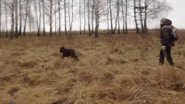 Марина и Велес смотреть онлайн