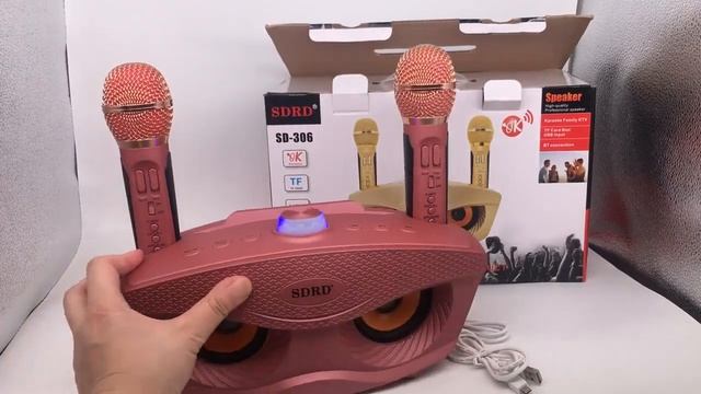 Sd306 двойной Bluetooth динамик с 2 беспроводными микрофонами для семьи на открытом воздухе Ktv