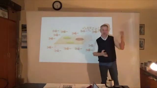 Андрей Владимирович Мозолин