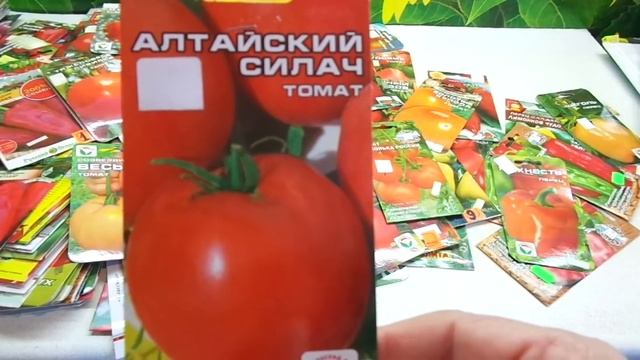 КОГДА НАЧИНАТЬ СЕЯТЬ ТОМАТЫ? УЧИМСЯ РАССЧИТЫВАТЬ ДАТЫ ПОСЕВОВ. Ольга Чернова.