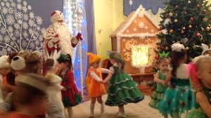 За лапку. Катя Новый год 2016