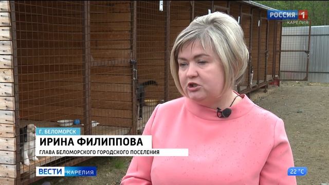 В Беломорске открылся муниципальный приют для бездомных собак