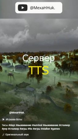 Тисы #dayz #выживание #survival #выживание #сталкер #pvp #сталкер #игры #tts #игры