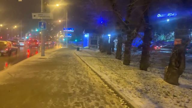 Прогулка по улице Щербакова от Аквапарка до улицы Самолётная, г. Екатеринбург, 04.11.2022 смотреть онлайн