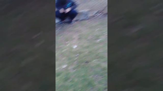 Ого 3 тарантул класс смотреть онлайн