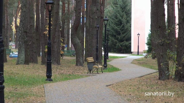 Санаторий Надзея - территория, Санатории Беларуси