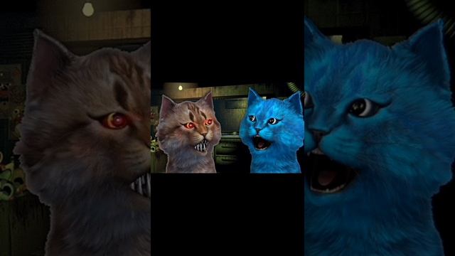 Фотки котёнка лайка игры онлайн смотреть онлайн