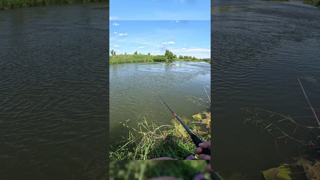 Рыбалка на Тейл Спиннер