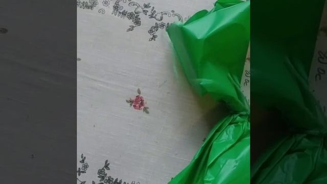 Питомник Овчарова прислал розу .Роза Дрим Уивер.Лесина Дача. смотреть онлайн