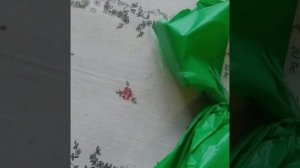 Питомник Овчарова прислал розу .Роза Дрим Уивер.Лесина Дача.