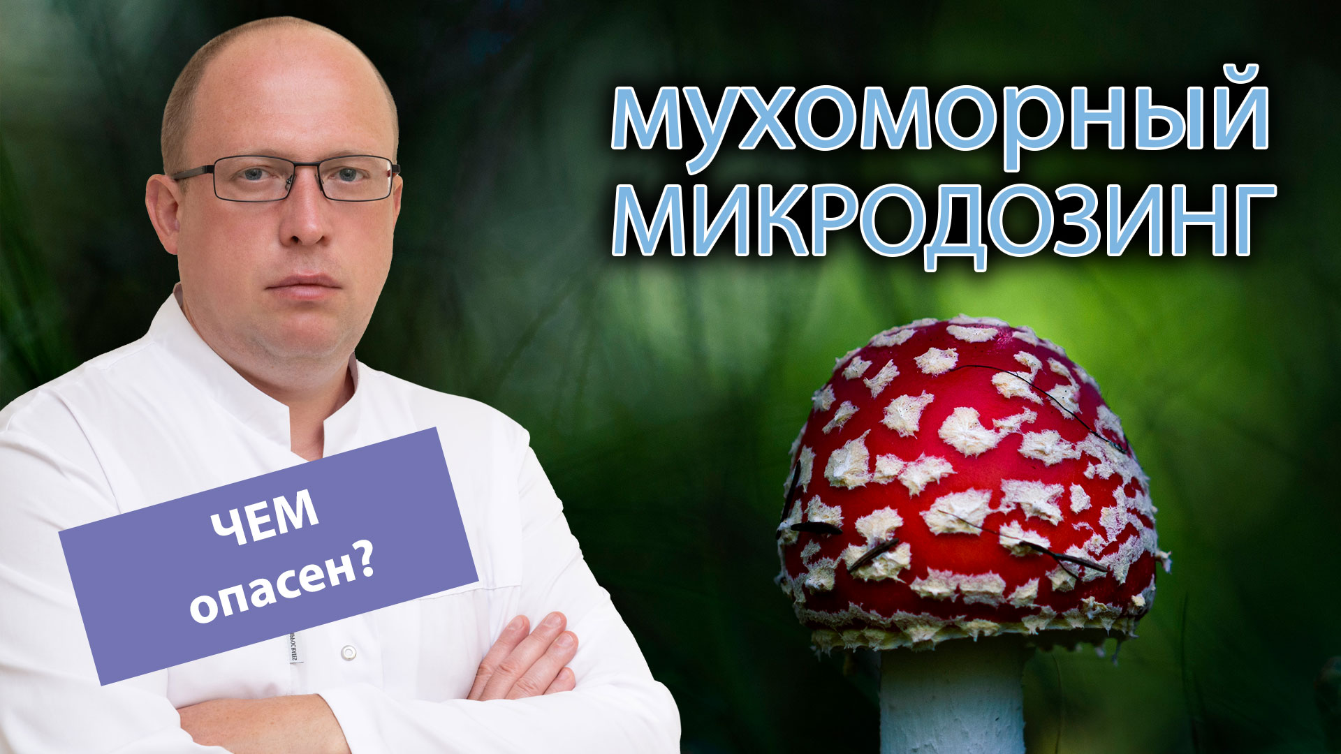 Препарат чудо гриб. Микродозинг мухоморов.