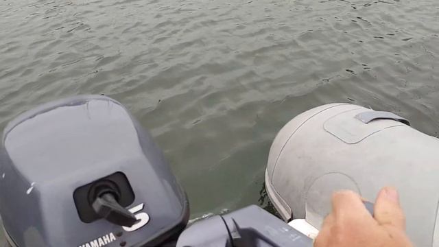 Yamaha F6 Outboard Cleveland - Warm Start, Shift смотреть онлайн
