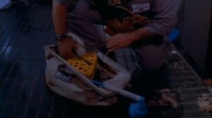 Нападение 60 Футовой девушки с обложки