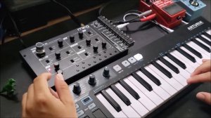 Moog Werkstatt-01 : A Compilation Of Sounds!