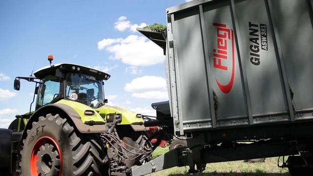 CLAAS Jaguar с трактором Axion 950 и перегрузчиком Fliegl Gigant
