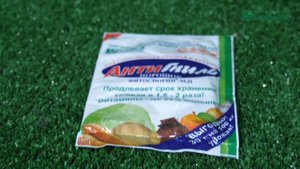 Антигниль - применение биопрепарата