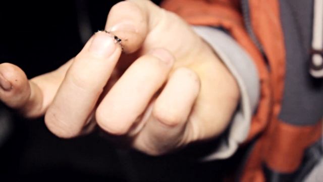 ТАЗОБУДНИ #28 Замена тосола / Как правильно поменять тосол или антифриз смотреть онлайн