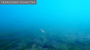 4 джиговых оснастки под водой [TokioRig vs TexasRig vs CarolinaRig vs отводной поводок]