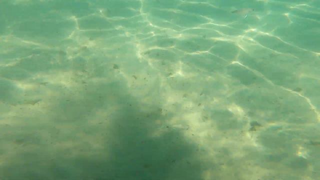 Море, море, мир бездонный. ц.