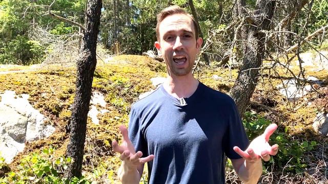 Is the Microcosmic Orbit Dangerous? смотреть онлайн