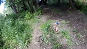 РЫБАЛКА НА ДОНКУ. РЕКА МОРЬЕ. ИЮНЬ 2018.