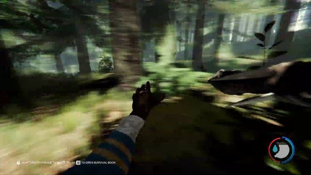 this is not sons of the forest gameplay смотреть онлайн