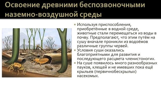 Биология 7 класс. Урок 45