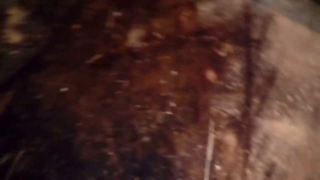 Борьба с мухами и их уничтожение, часть 2 смотреть онлайн