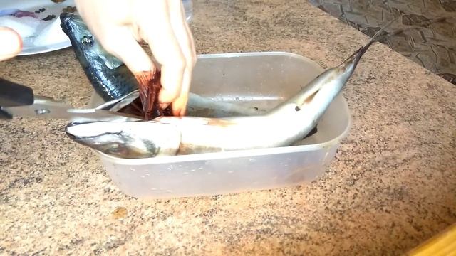 Как засолить селедку и скумбрию|  Простой рецепт посола рыбы