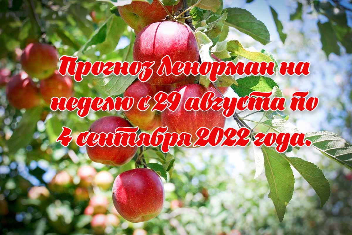 Прогноз Ленорман на неделю с 29 августа по 4 сентября 2022 года.