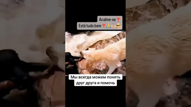 Мы всегда можем понять друг друга и помочь
