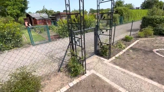 Что у нас растёт в Теплице / Пересадила Цветы/ Дача в Германии смотреть онлайн