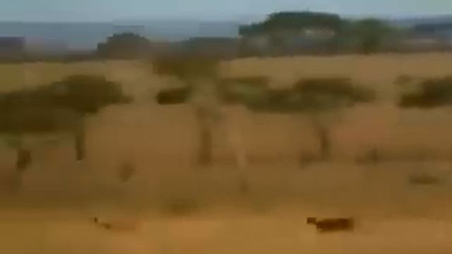 Прежде чем смотреть - читайте описание! смотреть онлайн