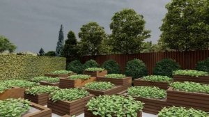 Ландшафтный дизайн участка 20 соток.
