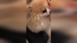 Бузова делюсь с вами любимой косметикой по уходу за лицом