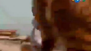 котинет серия 4 карусель архив запись (22.09.2015)