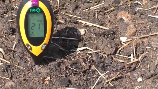 Посадка виноградных черенков в теплую грядку( школку). смотреть онлайн