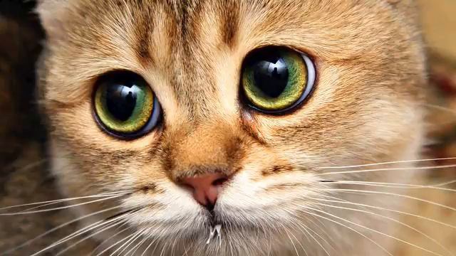 Русская поп музыка. Просто класс! Люблю! смотреть онлайн