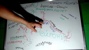 ✅КЛЕТКИ ГЛИИ, АКСОНЫ И НЕЙРОНЫ. КАК СТРОЕНИЕ МОЗГА ВЛИЯЕТ НА ВОСПИТАНИЕ РЕБЁНКА И ЖИЗНЬ ВЗРОСЛОГО