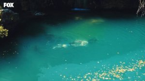 Sen Çal Kapımı 3. Bölüm (Uzun Versiyon)